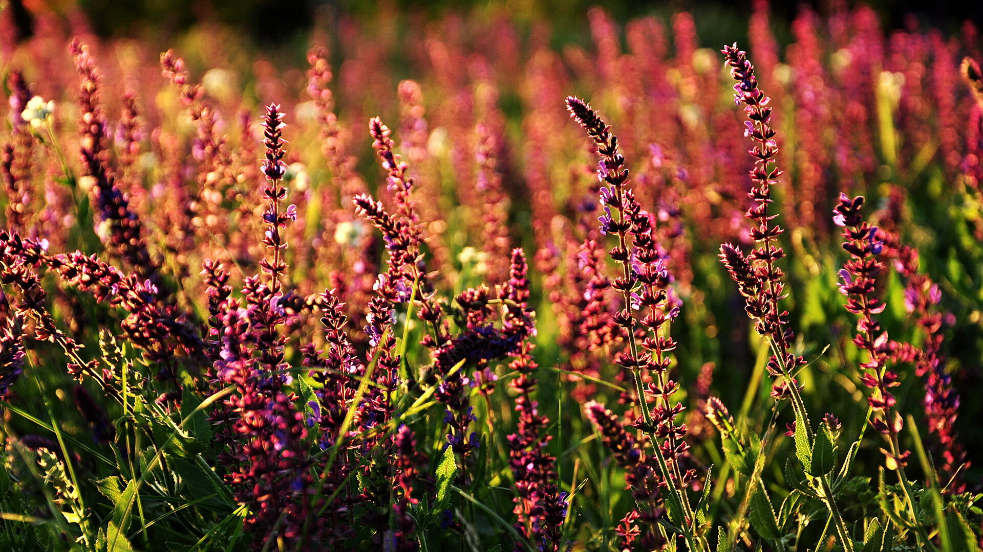 教练暂停前后的节奏差异是否影响进攻质量，教练请求暂停的时间为几秒