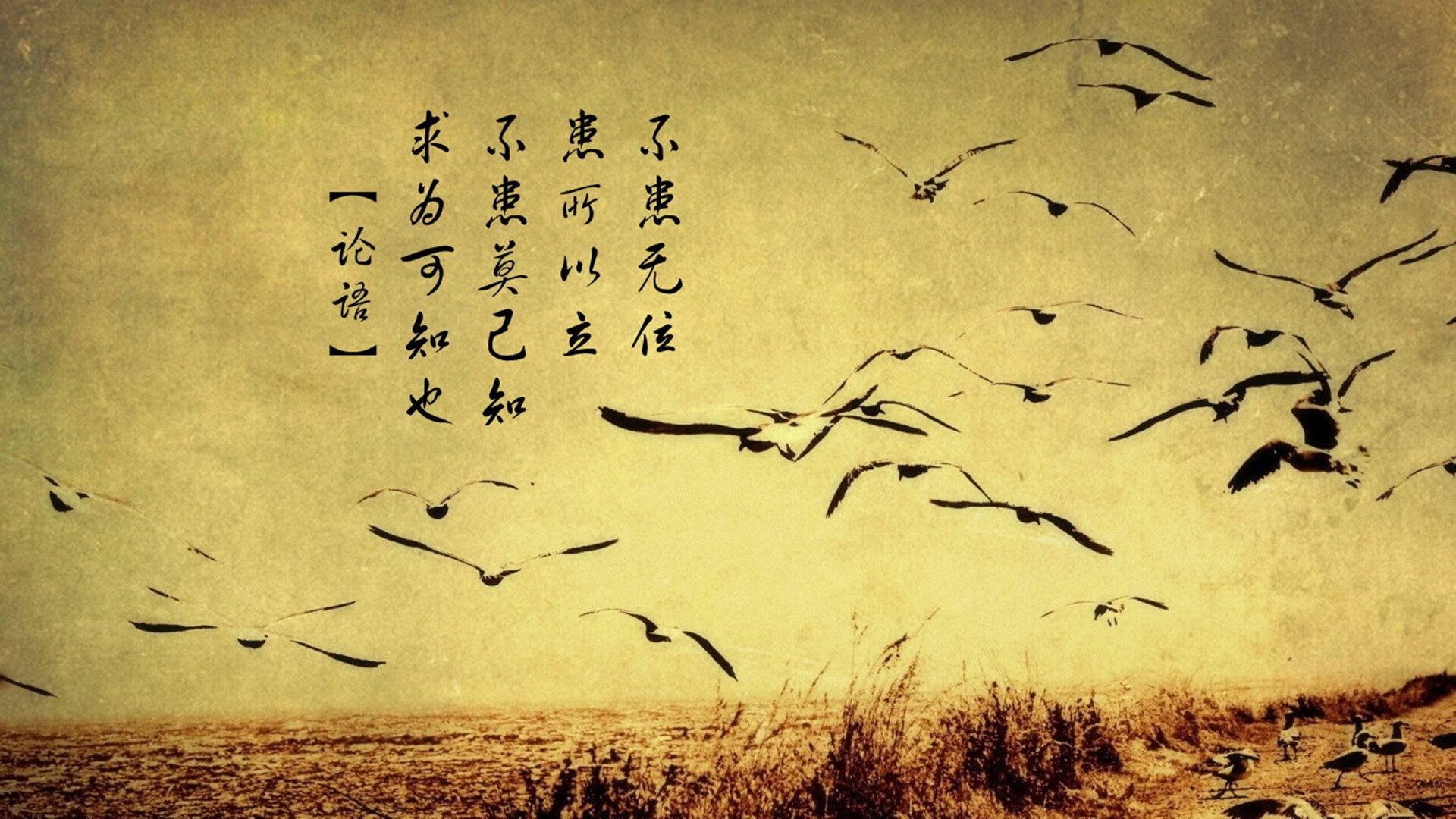 球员节奏控制训练是否应纳入常规战术系统,节奏训练是什么意思