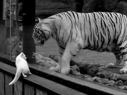 转身提前收腿技术成胜负分水岭,转身后蹬腿教学