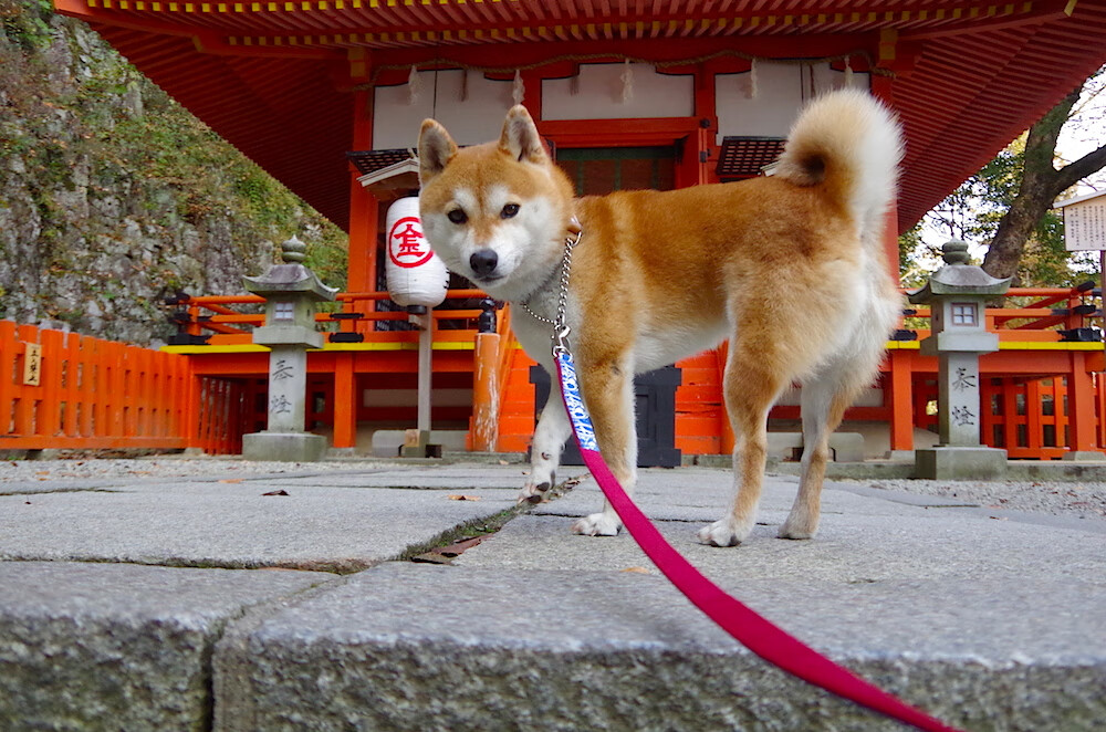 开云娱乐-中国篮协举办讲师认证培训提高基层篮球课程教学质量，篮球训练师培训