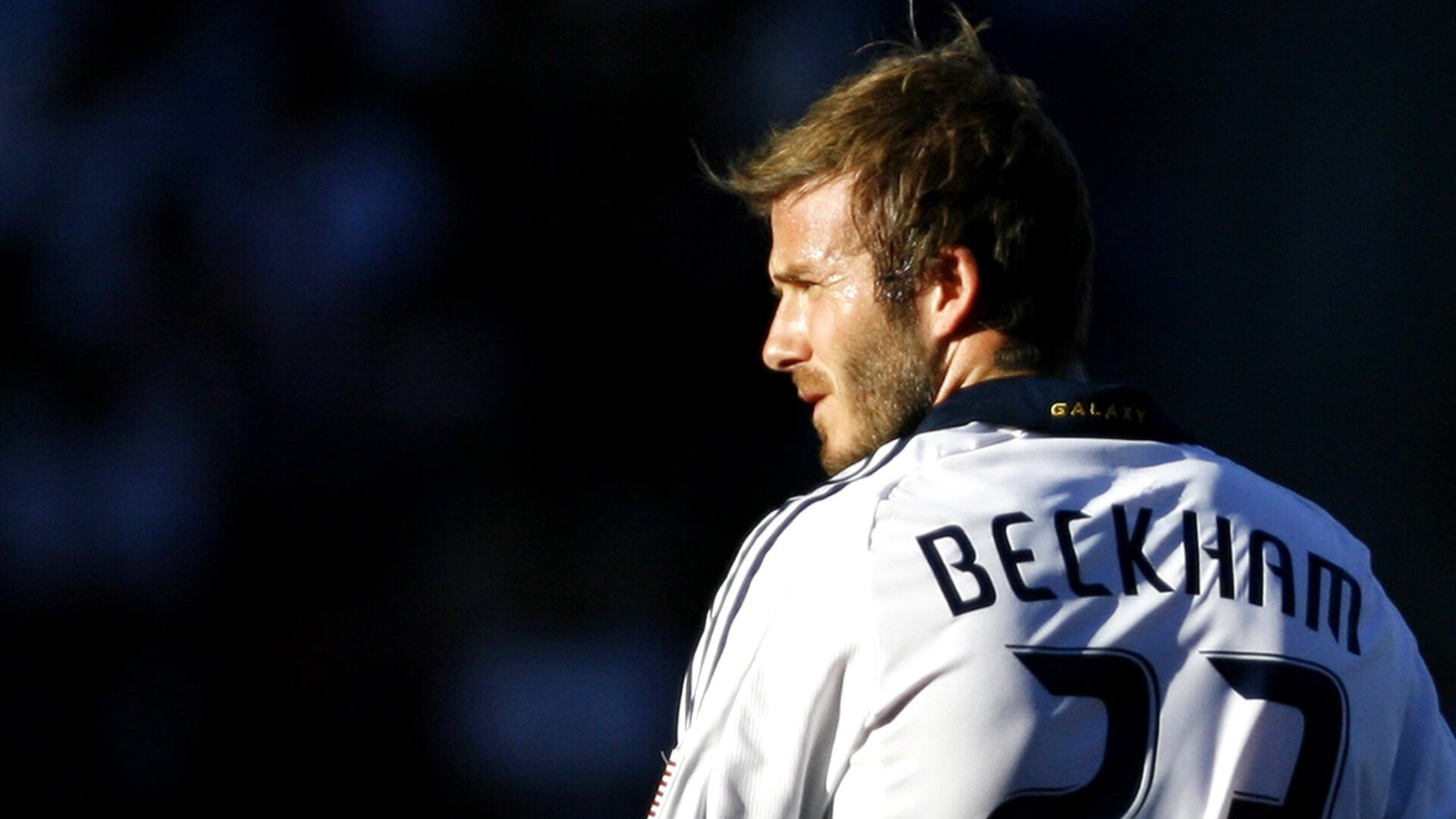 《英雄联盟》新版本预告片正式挂出,粉丝期待,英雄联盟新电影