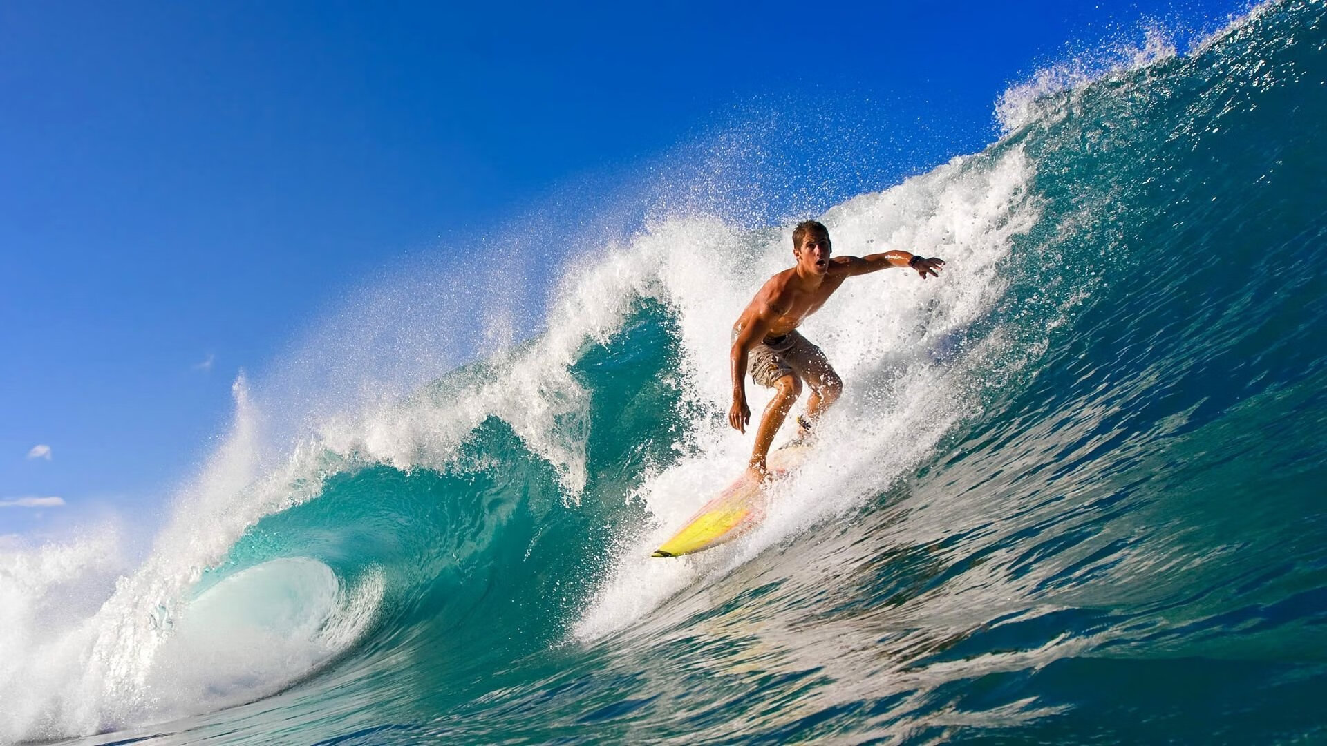 哈兰德体能管理获教练组高度评价,哈兰德履历